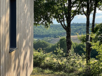Lodge with view — 3