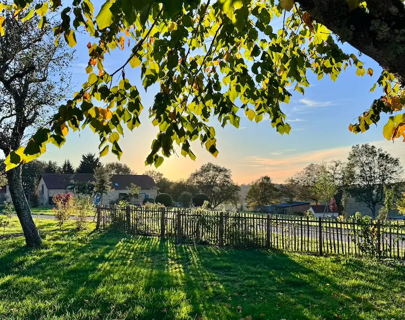 Emplacement De Camping Premium En Prairie (Avec Elec.)