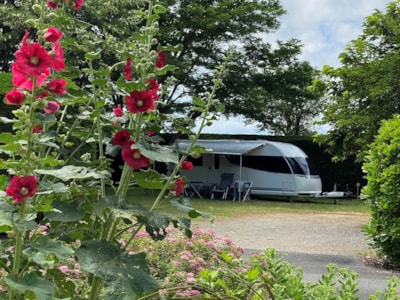 PREMIUM camping pitches grouped in clusters (with electricity) — 3