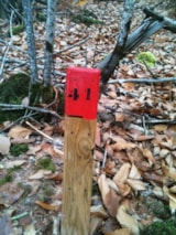 Foto #41 van Camping Domaine de Fromengal