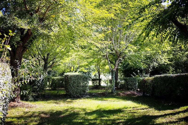 Forfait Confort - Emplacement De 80 À 100 M2 - Avec Electricite Et Eau