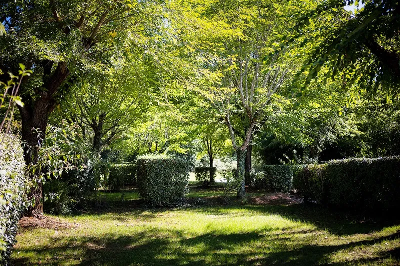 Forfait Confort - Emplacement De 80 À 100 M2 - Avec Electricite Et Eau