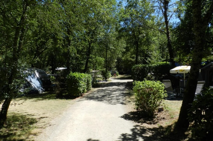 Emplacement Camping Car 1 Véhicule Avec Électricité