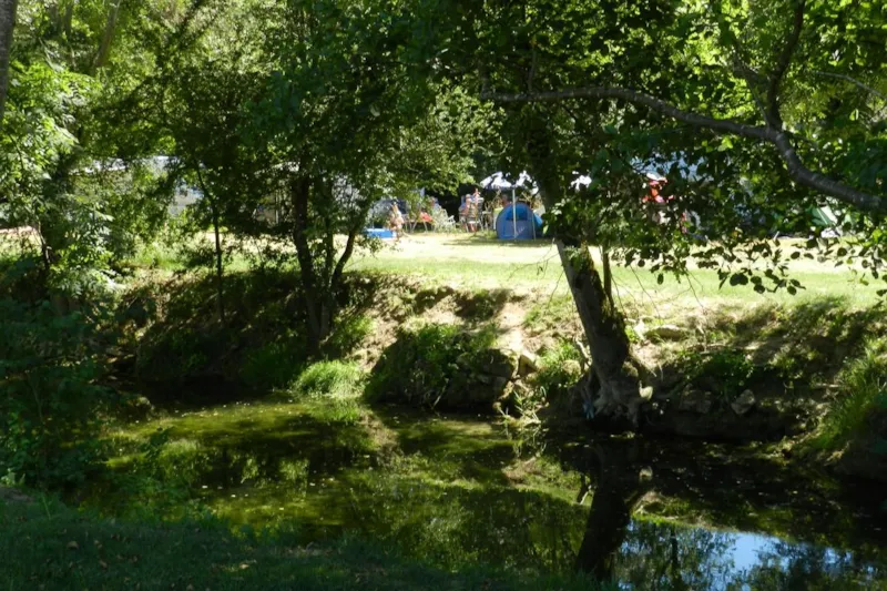Emplacement Camping Car 1 Véhicule Avec Électricité