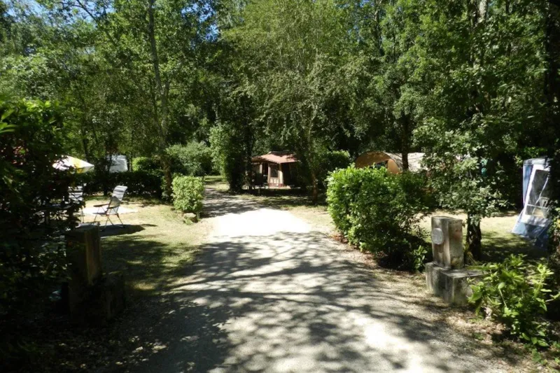 Emplacement 2 Personnes Avec Électricité (N° 01, 02, 04, 05, 08, 10, 17, 18, 41, 42)