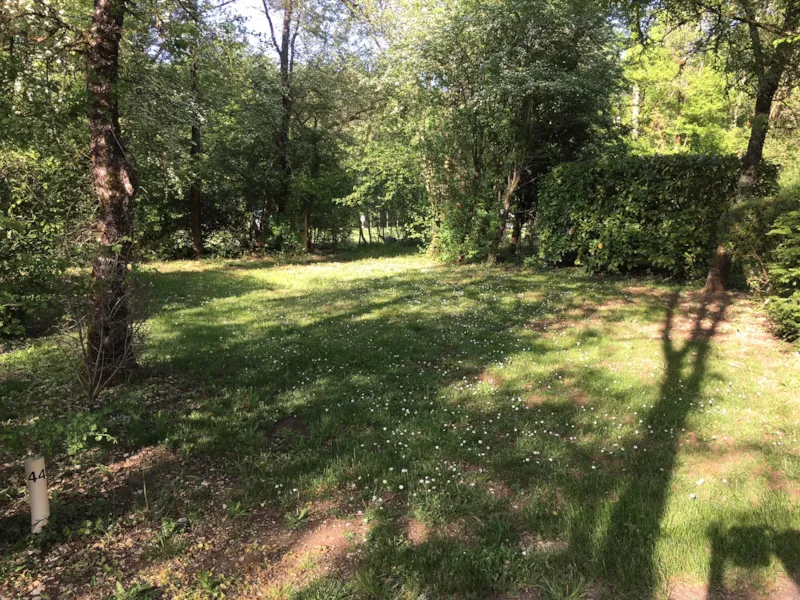 Emplacement Confort Avec Électricité (N° 09, 19, 34, 35, 36, 37, 38, 39, 40, 43, 44)