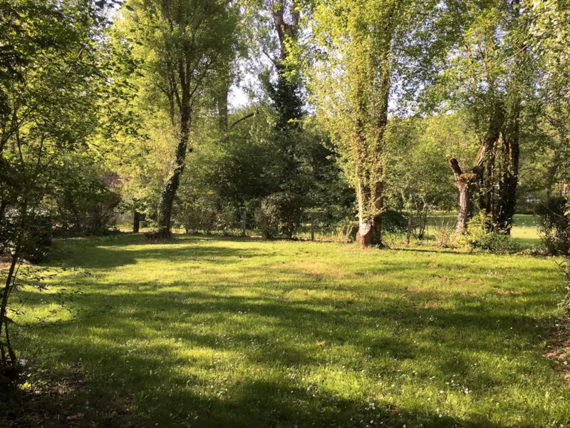 Emplacement Confort Avec Électricité (N° 09, 19, 34, 35, 36, 37, 38, 39, 40, 43, 44)