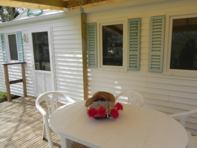 Eco Mobile Home - Comfort 28m² 2 bedrooms - Arrival on Sundays in July and August