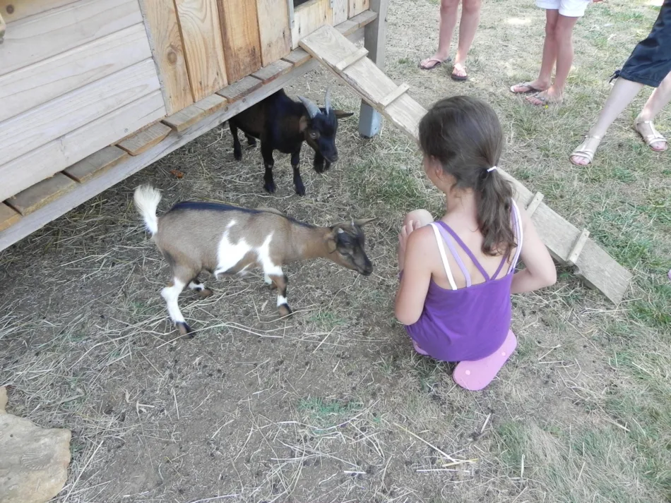 Camping L'Offrerie