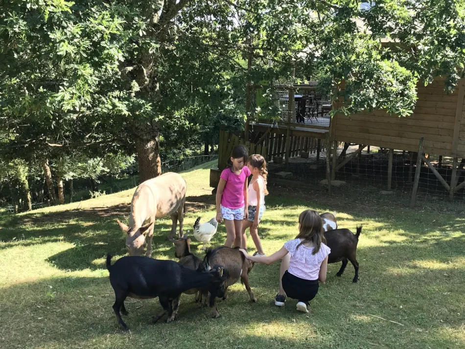 Camping L'Offrerie