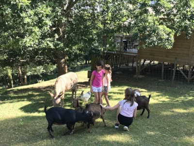 Camping L'Offrerie