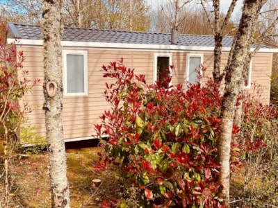 Premium Loggia Mobile Home 32m² 2 bedrooms - Arrival on Saturdays in July and August