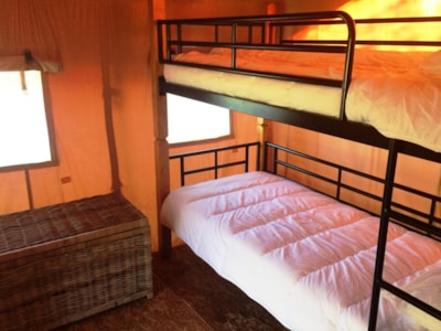 35m² Safari Tent