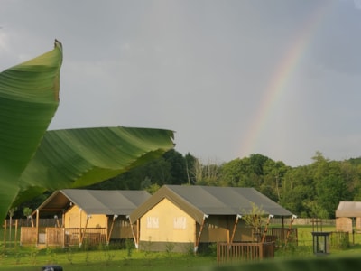 35m² Safari Tent