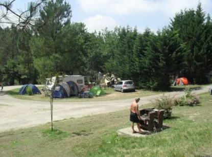 Camping Pitch Nature With Electricity Included - 80 À 100 M² For Tente Or Caravan Only