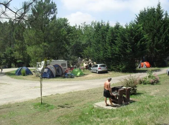 Camping pitch Nature with electricity 6A  included - 80 à 100 m² for tente or caravan only