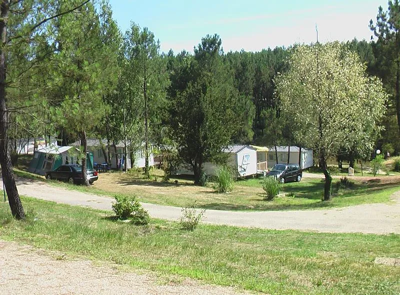 Emplacement - Emplacement Xxl Tribu 200 M² Avec Électicité 16 A Inclus - Domaine de l'Etang de Bazange | Sites et Paysages 