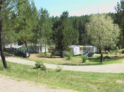 XXL Tribu pitch 200 m² with 16 A electricity included