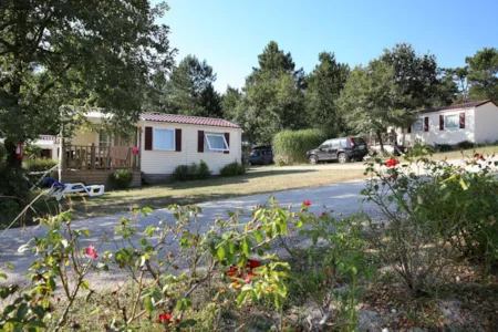 Accommodation - Cottage Privilège Muscadelle - Tv, Large Fridge-Freezer And Covered Terrace - Domaine de l'Etang de Bazange | Sites et Paysages 