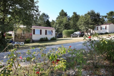 Muscadelle Privilege Cottage - TV, air conditioning, large fridge-freezer, 30 m² - Large pitch