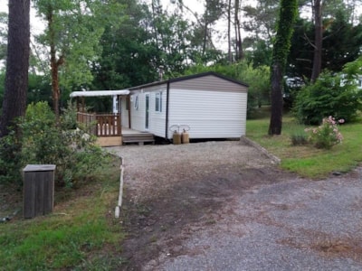 Privilege Cottage 40 m² Forest Side - TV, air conditioning, semi-covered terrace