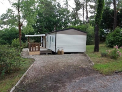 Privilege Cottage 40 m² Forest Side - TV, air conditioning, semi-covered terrace