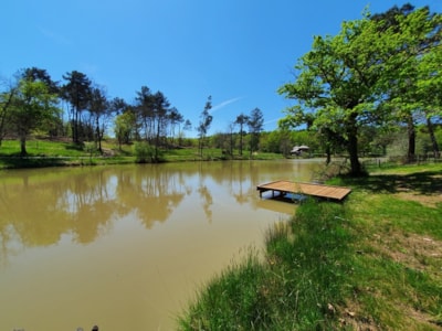 Premium cottage-chalet - private dock, TV, air conditioning, 2 bathrooms