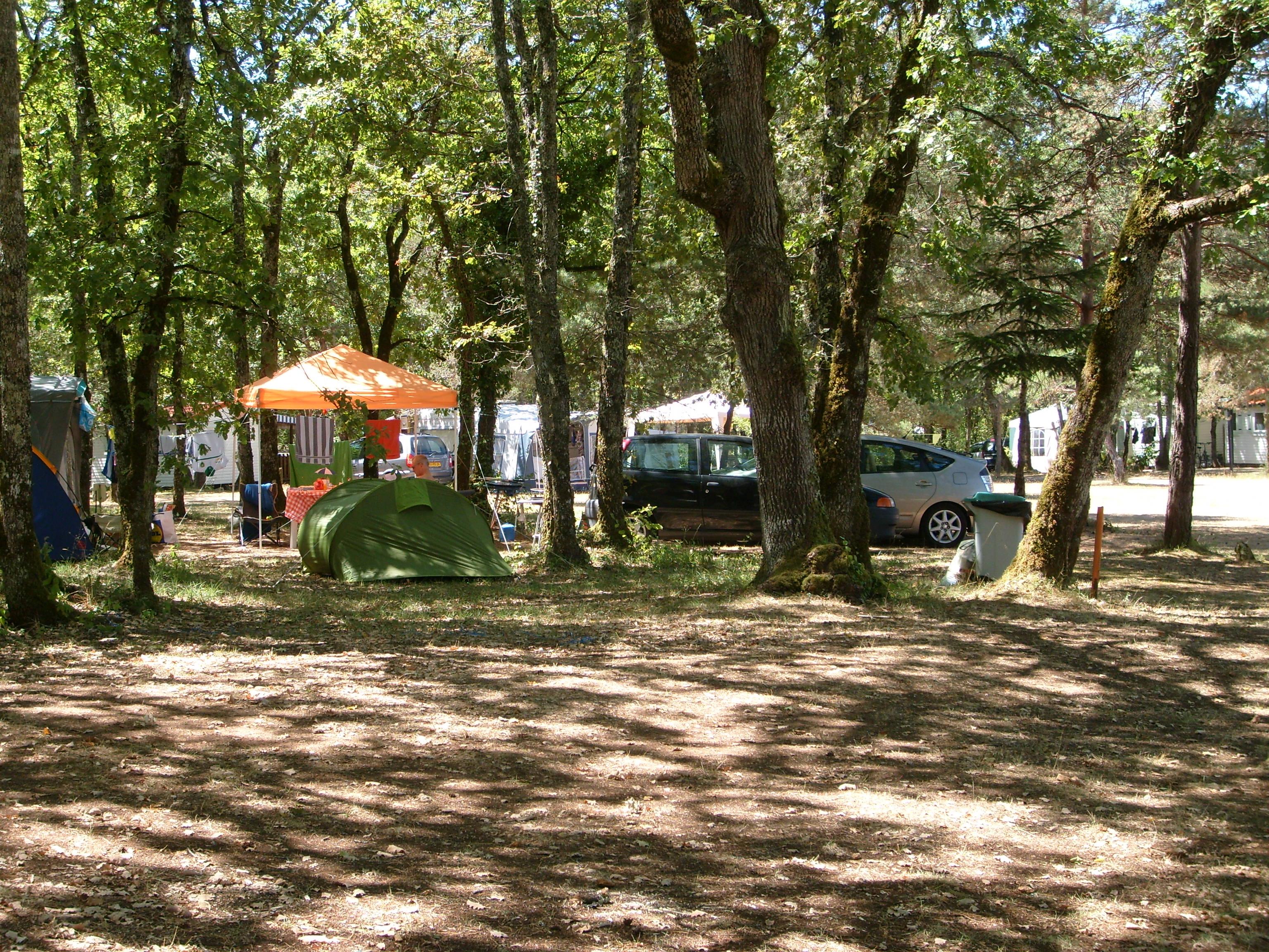 Établissement Camping La Forêt - Pezuls