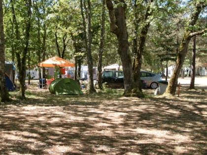Camping La Foret