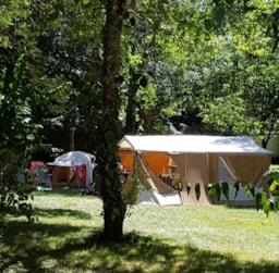 Camping de l'Ilot - image n°21 - Roulottes
