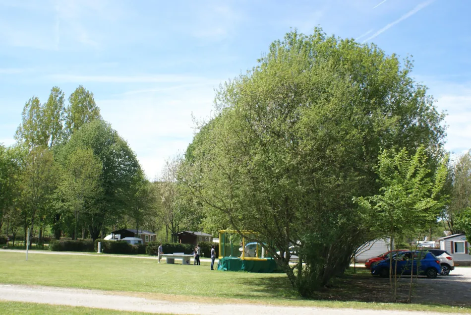 Camping L'Agrion Bleu