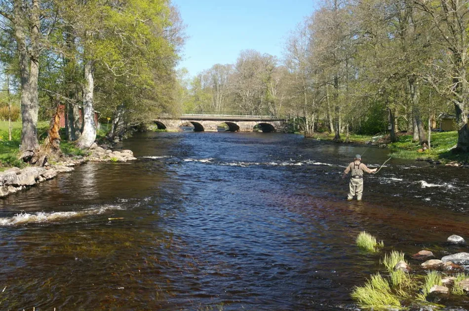 Camping L'Agrion Bleu