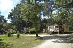 Mietunterkunft - Mobilheim 3 Zimmer - Camping Orphéo-négro