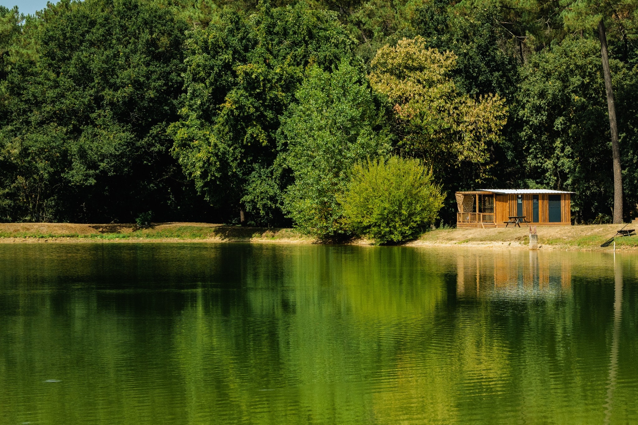 Gaia Ecolodge — Photo 4