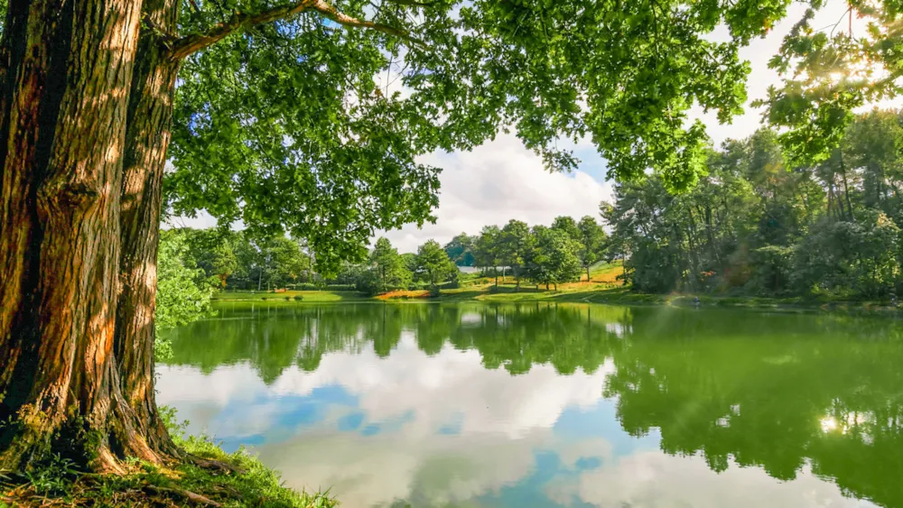 Gaia Ecolodge - image n°3 - UniversalBooking