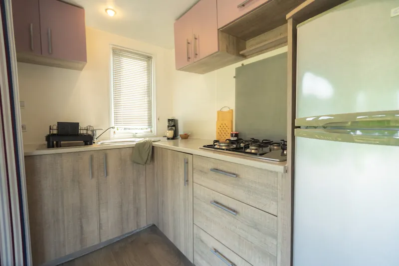 Mobil Home Premium Face À L'étang