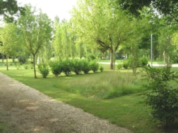 Camping Le Plein Air Neuvicois - image n°17 - Roulottes