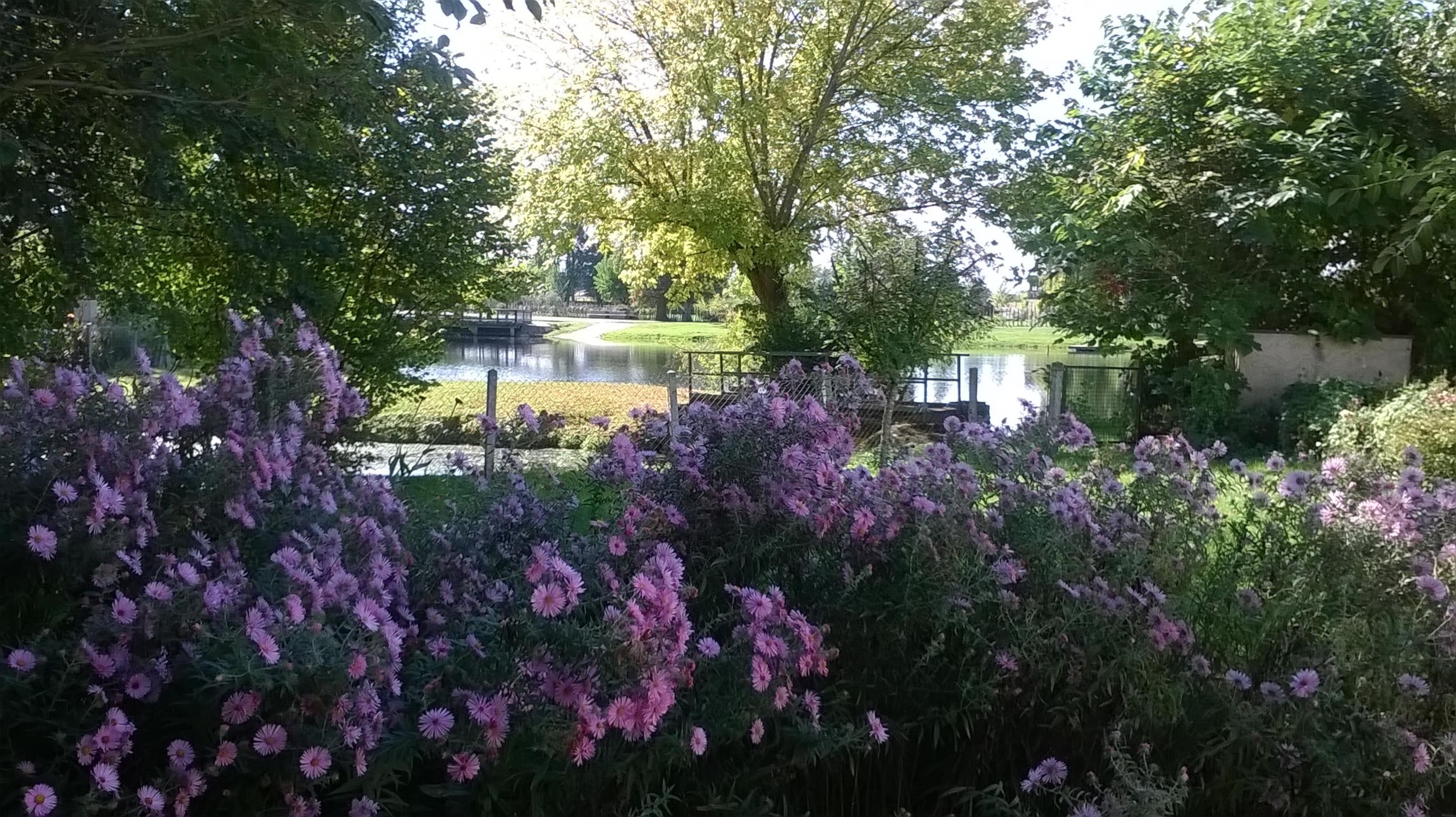 Camping Le Plein Air Neuvicois — Photo 5