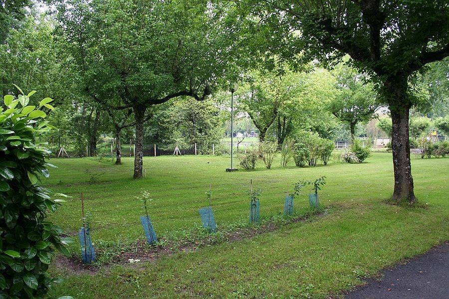 Camping Le Plein Air Neuvicois — Photo 8