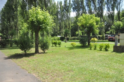 Simple package (1 person + 1 pitch + 1 bicycle or 1 car)