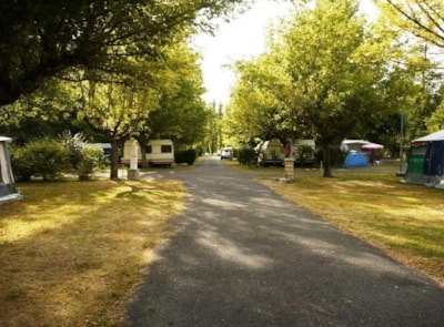 Simple package (1 person + 1 pitch + 1 bicycle or 1 car)