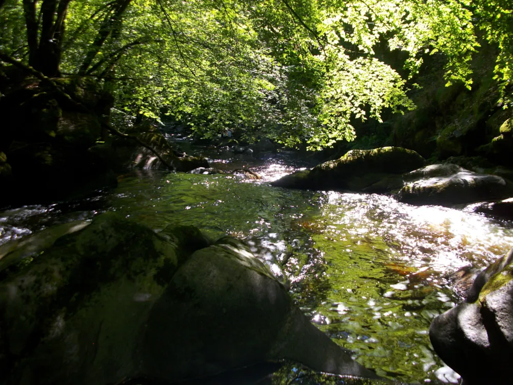 Camping La Ripole