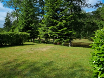 Landscaped natural pitch - 1 vehicle (car, camper van, or motorcycle) - 10A electricity — 1