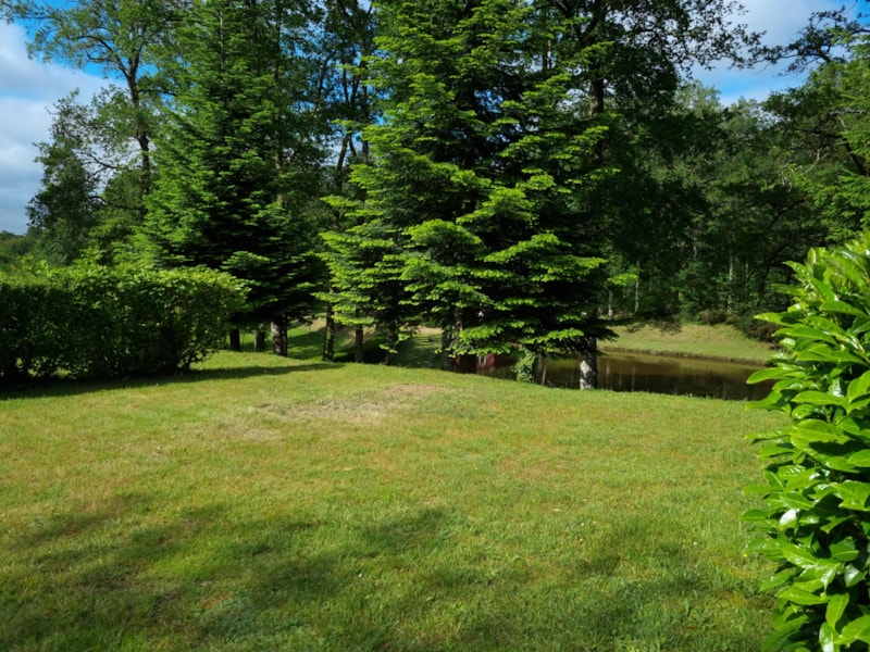 Landscaped natural pitch - 1 vehicle (car, camper van, or motorcycle) - 10A electricity