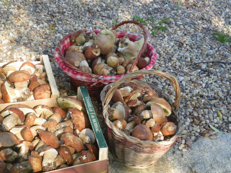 Week End Detente En Perigord Vert En Mobilhome