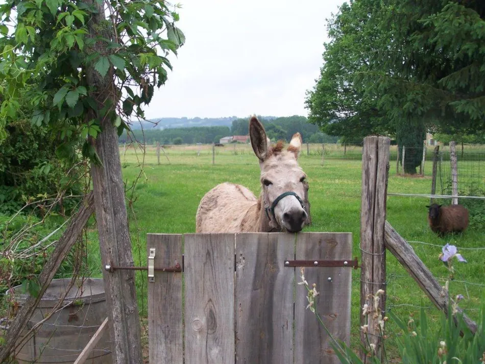 Camping la Ferme de Perdigat