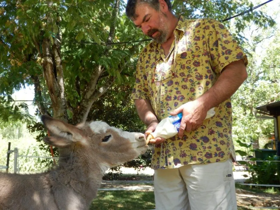 Camping la Ferme de Perdigat