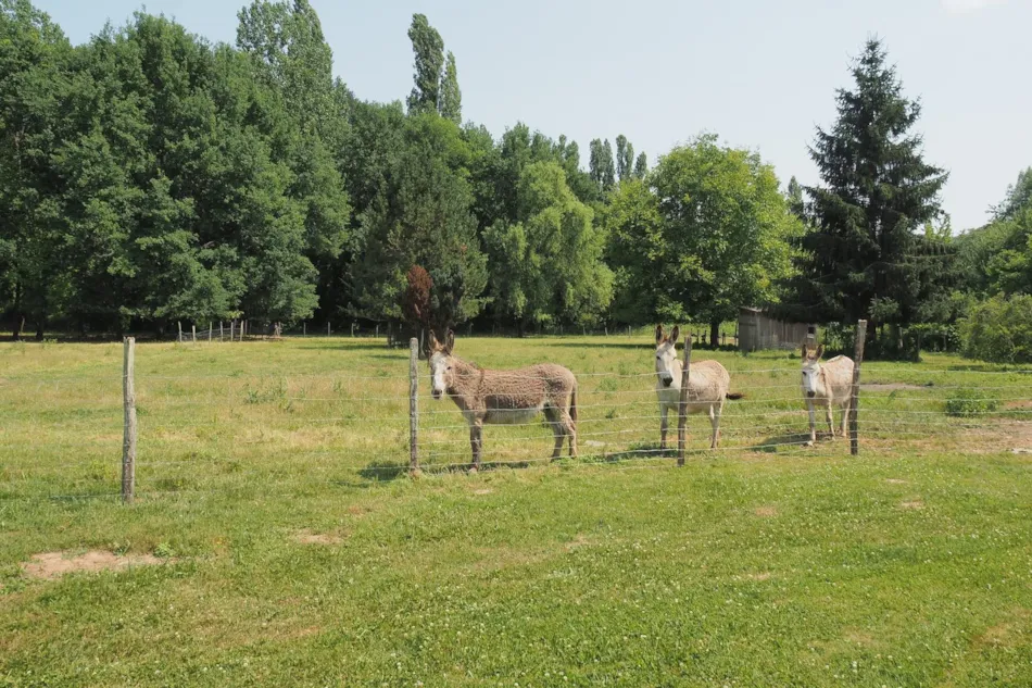 Camping la Ferme de Perdigat