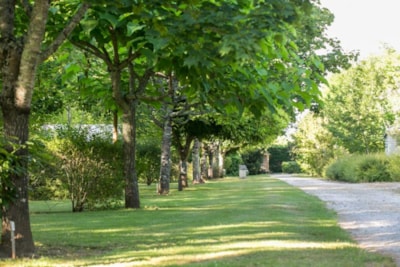 Pitches for tents, caravans, and motorhomes -