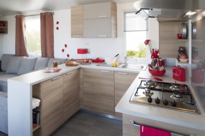 Constellation Mobile Home - 3 bedrooms